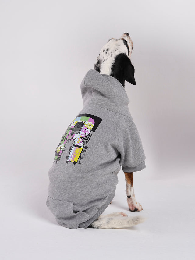 Hoodie für Hund in Grau Poppy