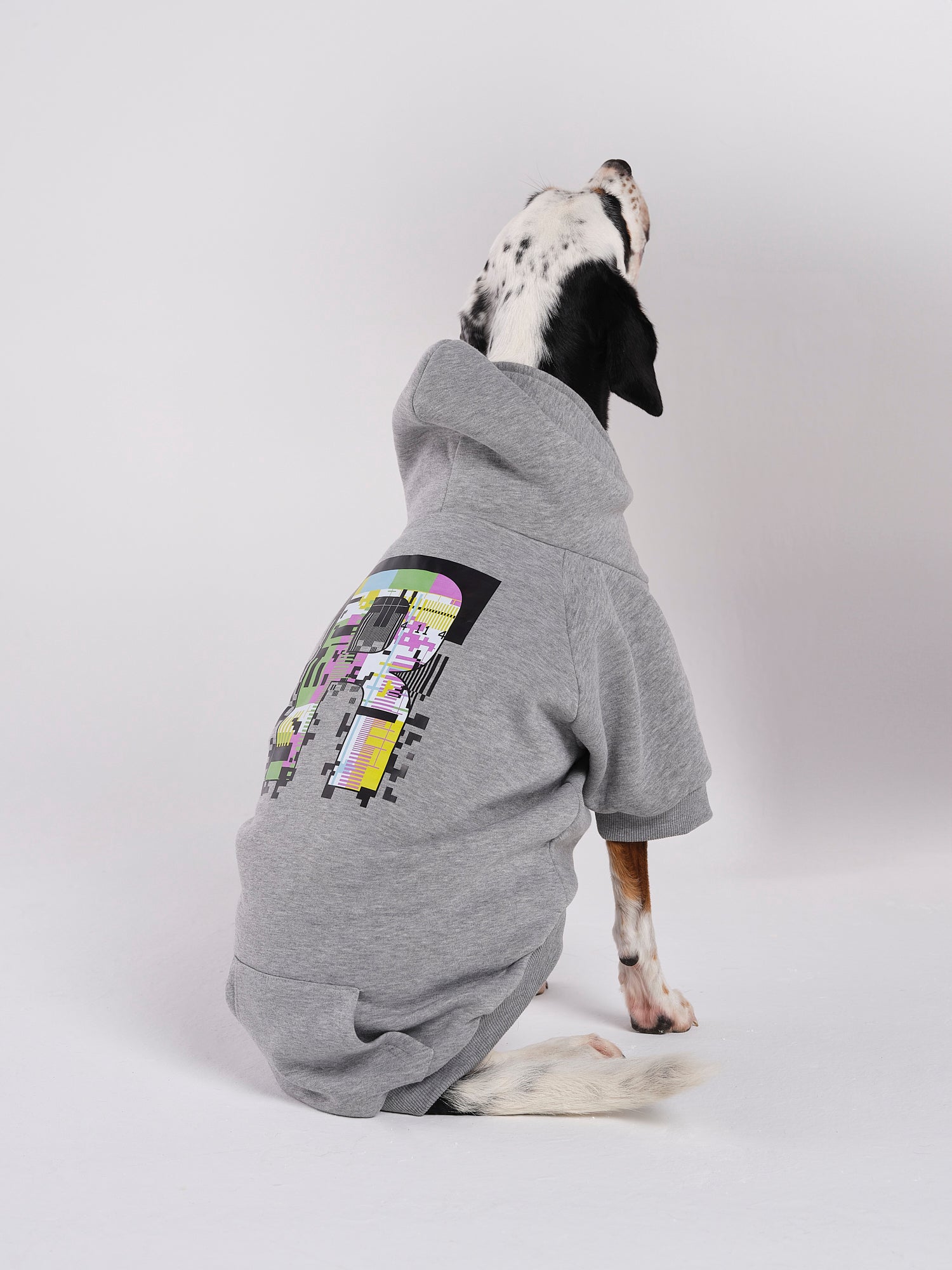 Hoodie für Hund in Grau Poppy